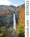 Kegon Waterfall 8839024