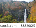 Kegon Waterfall 8839025