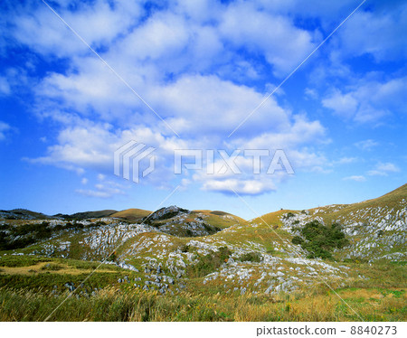 Hiraodai Hiraodai 8840273