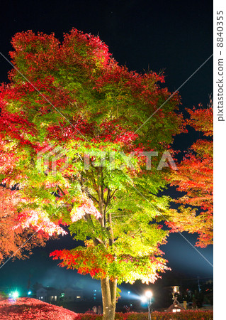 點亮河口湖鎮·Momiji走廊 8840355