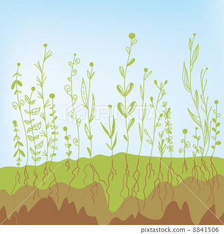 Grass growth with roots in the soil 8841506