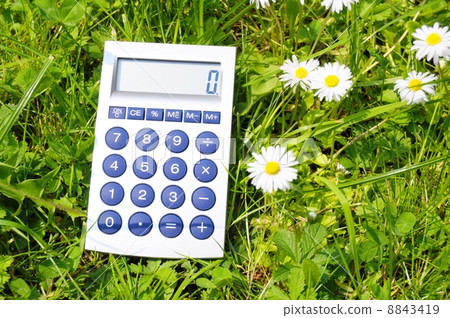 ecology ecology 8843419