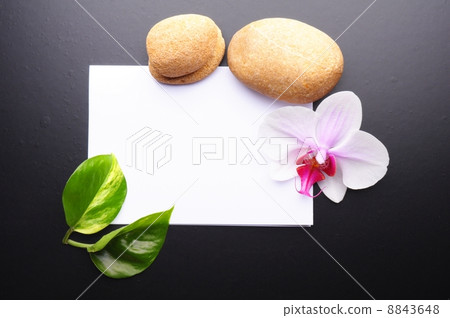 zen or spa zen or spa 8843648