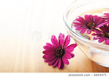 spa flowers 8844475