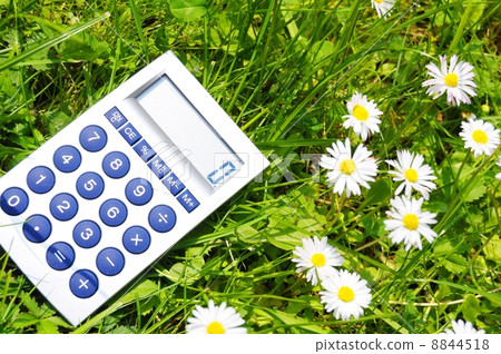 ecological accounting 8844518