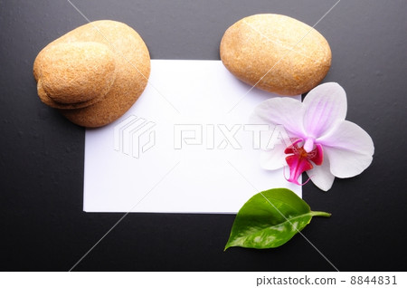 zen or spa zen or spa 8844831