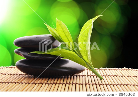spa spa 8845308
