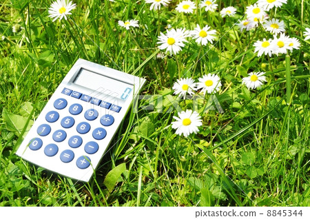 ecology ecology 8845344