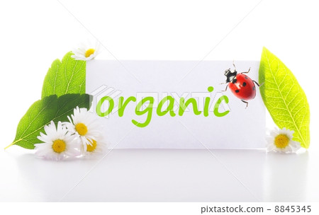 organic organic 8845345