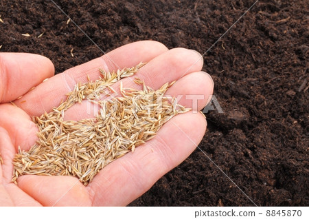 hand sowing seed 8845870