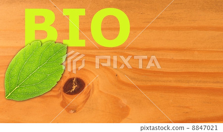 bio 8847021