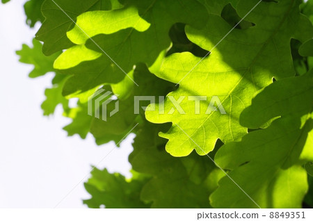 beautyful nature beautyful nature 8849351