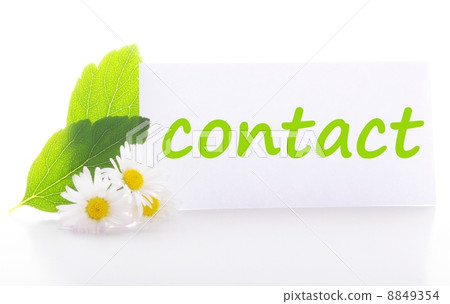 contact contact 8849354