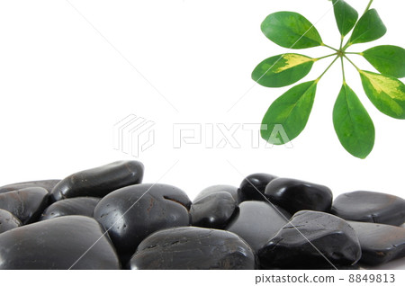 stones and leaf 8849813