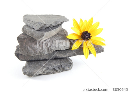stones 8850643