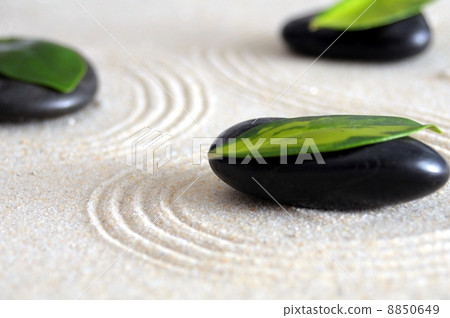 zen still life zen still life 8850649