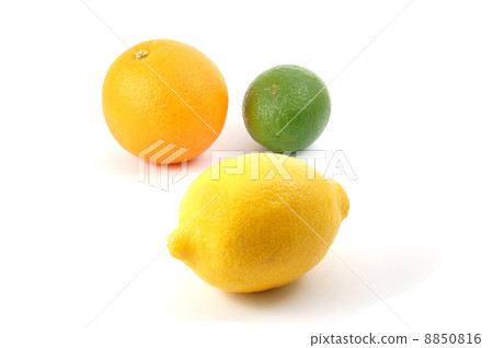 lemon orange and citron fruit lemon orange and citron fruit 8850816
