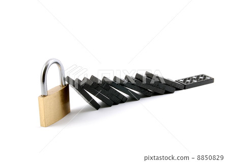 domino security 8850829