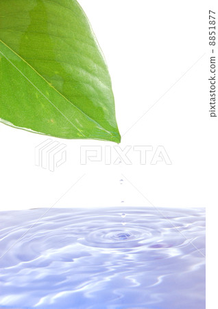 health and wellness concept 8851877