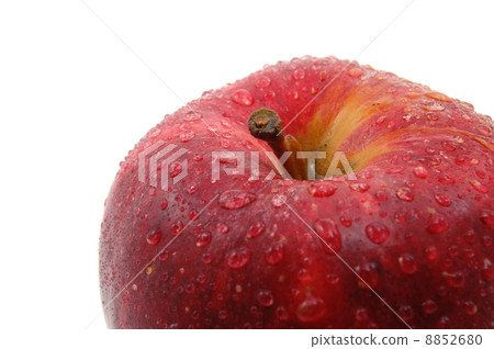 fresh red apple isolated on white background 8852680