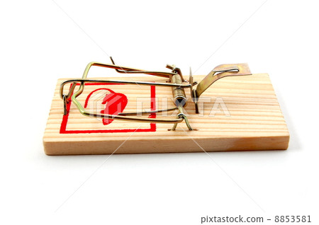 dangerous mouse trap 8853581