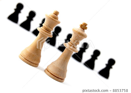 chess chess 8853758