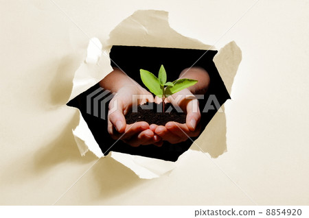 hole in paper and plant in hands 8854920