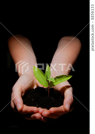growth growth 8856133