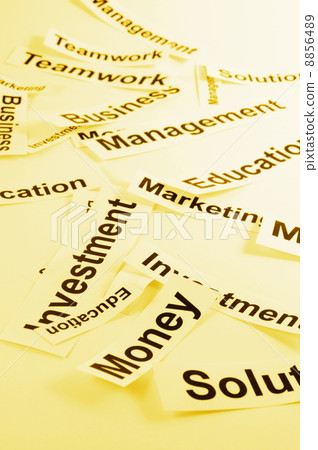 management management 8856489