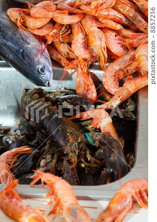 Heap of raw seafoods 8857256