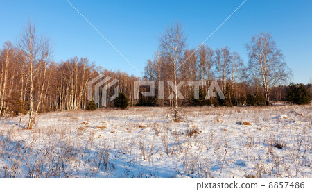 Lanscape in frozen day Lanscape in frozen day 8857486