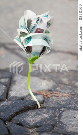 Growing money sprout in asphalt Growing money sprout in asphalt 8858169
