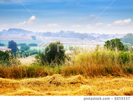 Catalan rural lahdscape Catalan rural lahdscape 8859337