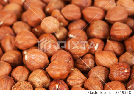 Hazelnuts background Hazelnuts background 8859338