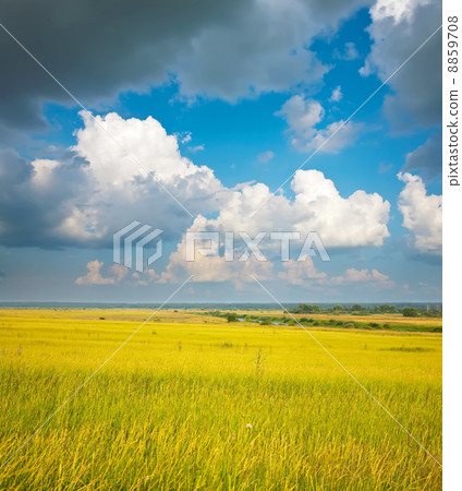 Summer landscape 8859708
