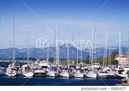Many yachts lying at dock 8860427