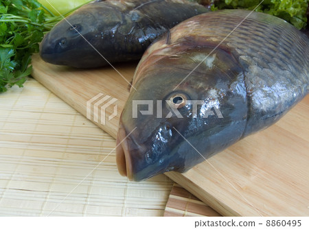 Carp fish Carp fish 8860495