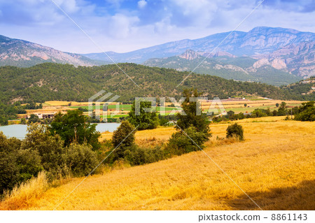farms and fields in valley farms and fields in valley 8861143