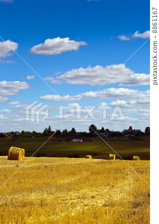 Summer landscape Summer landscape 8861167