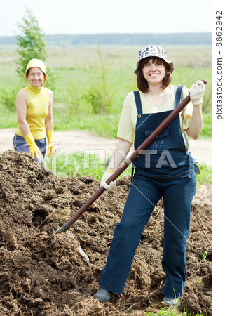 Women scatters the manure 8862942