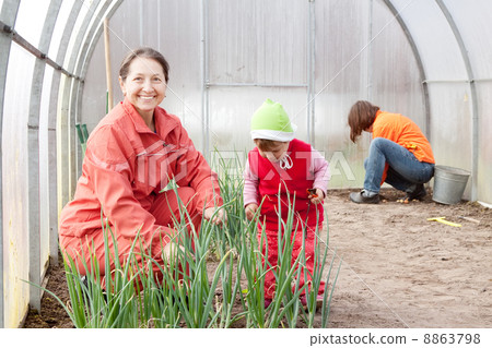 women with child works at hothouse women with child works at hothouse 8863798