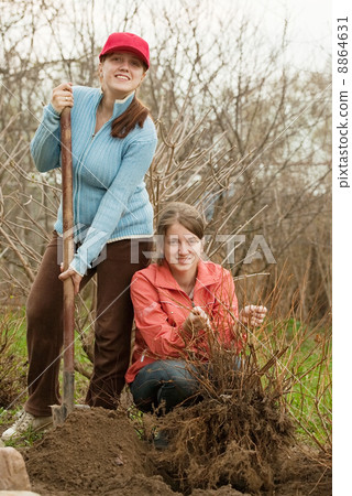 women resetting bush sprouts 8864631