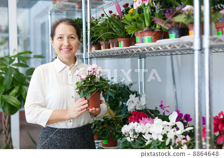 florist with Cyclamen 8864648