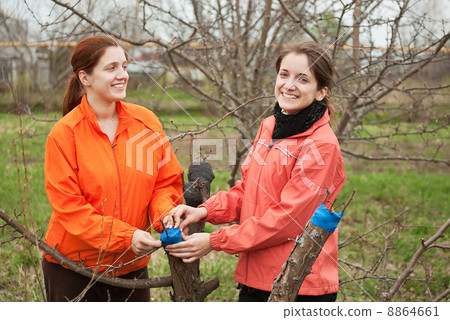 women inarching branch to tree 8864661