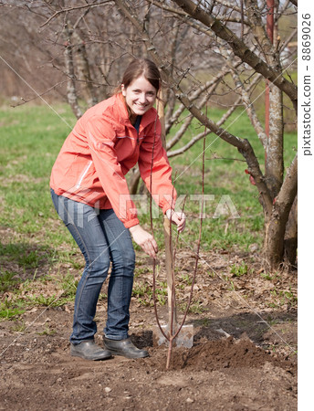 woman resetting tree sprouts 8869026