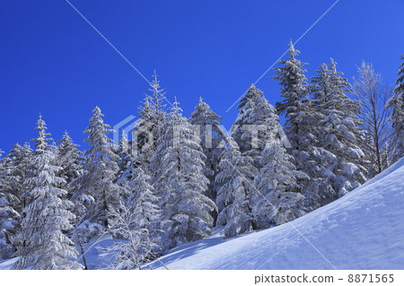Image of winter Ice ice and snowy field 8871565
