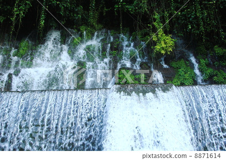 Hallelu's Caleta waterfall, El Salvador 8871614