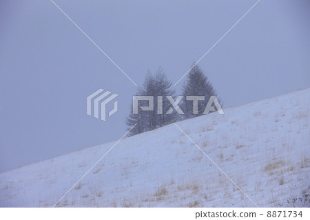多雪的領域冬天Karamatsu的圖像 多雪的領域冬天Karamatsu的圖像 8871734
