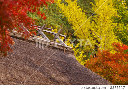 有屋頂屋頂和秋葉的一個老私有房子 8875517