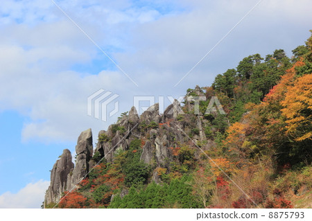 Autumn Yayakii 8875793
